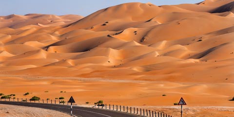 A full Guide to Plan your Abu Dhabi Desert Safari to be Hassle Free