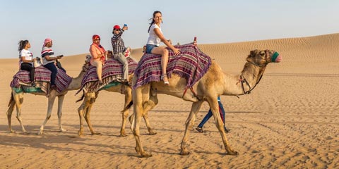 8 Moments that will take your breath away during your Abu Dhabi Desert Safari