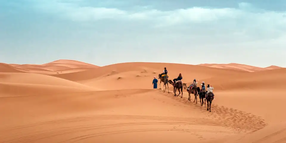 Top Desert Routes for Camel Trekking in Abu Dhabi